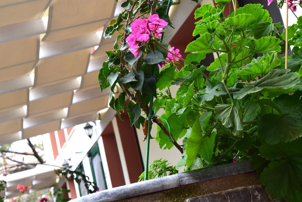 Cozy Residences In The Center Of Volissos Village - Lydia Lithos- Εξωτερικό φωτογραφία