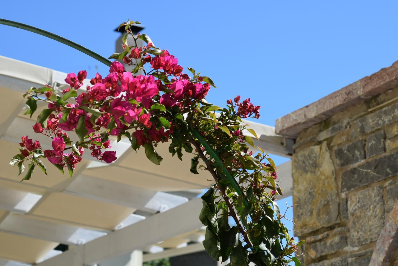 Cozy Residences In The Center Of Volissos Village - Lydia Lithos- Εξωτερικό φωτογραφία